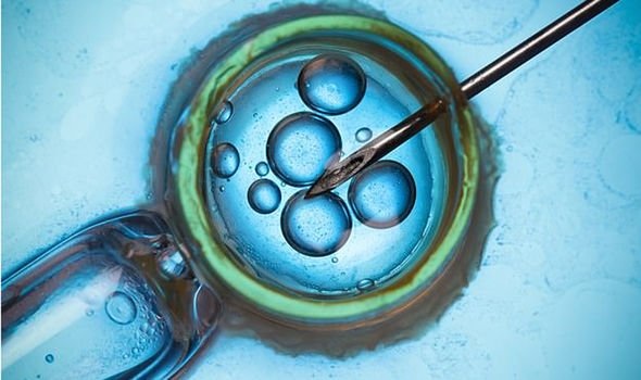 The Chinese research team suspect that the deaths could have been due to the IVF process instead than the chimerism