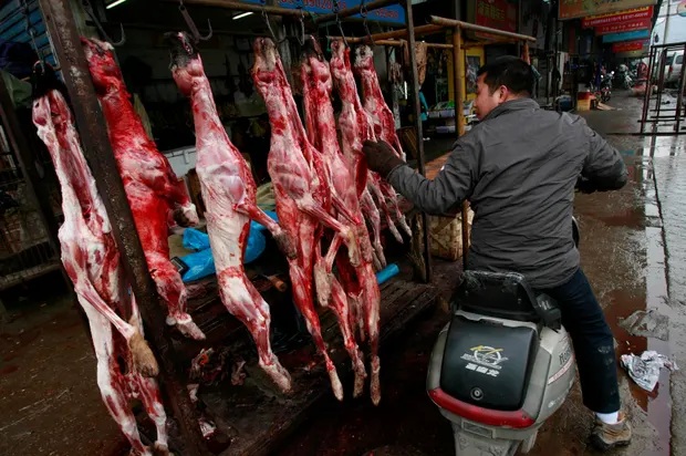 Dog meat has long been a popular delicacy in China but attitudes are shifting