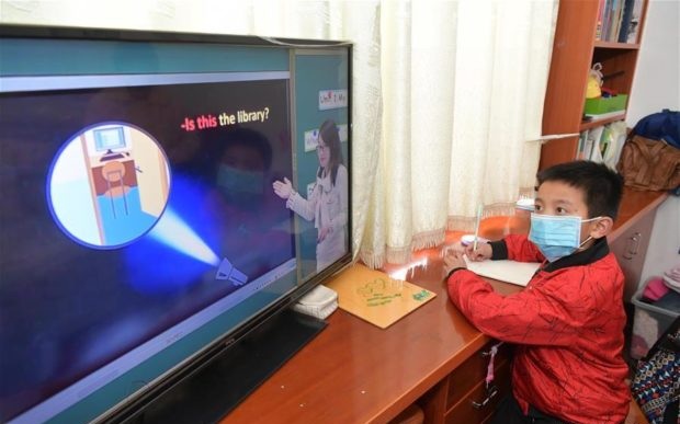 a student of Primary School attends an online class at home
