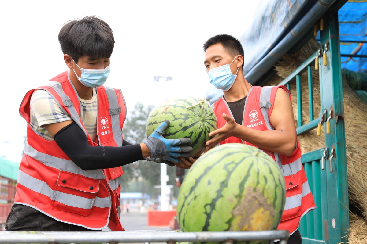 Merchants load watermelons at the Xinfadi market on Aug 15